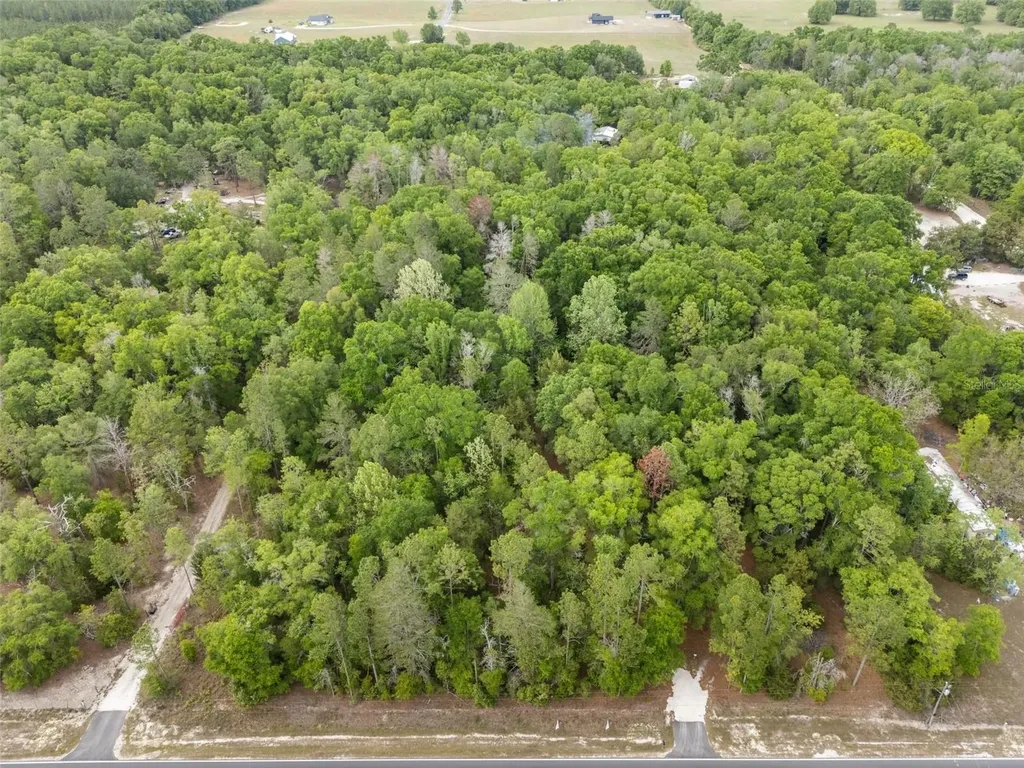 3100 NW 30th Street Bell FL 32619