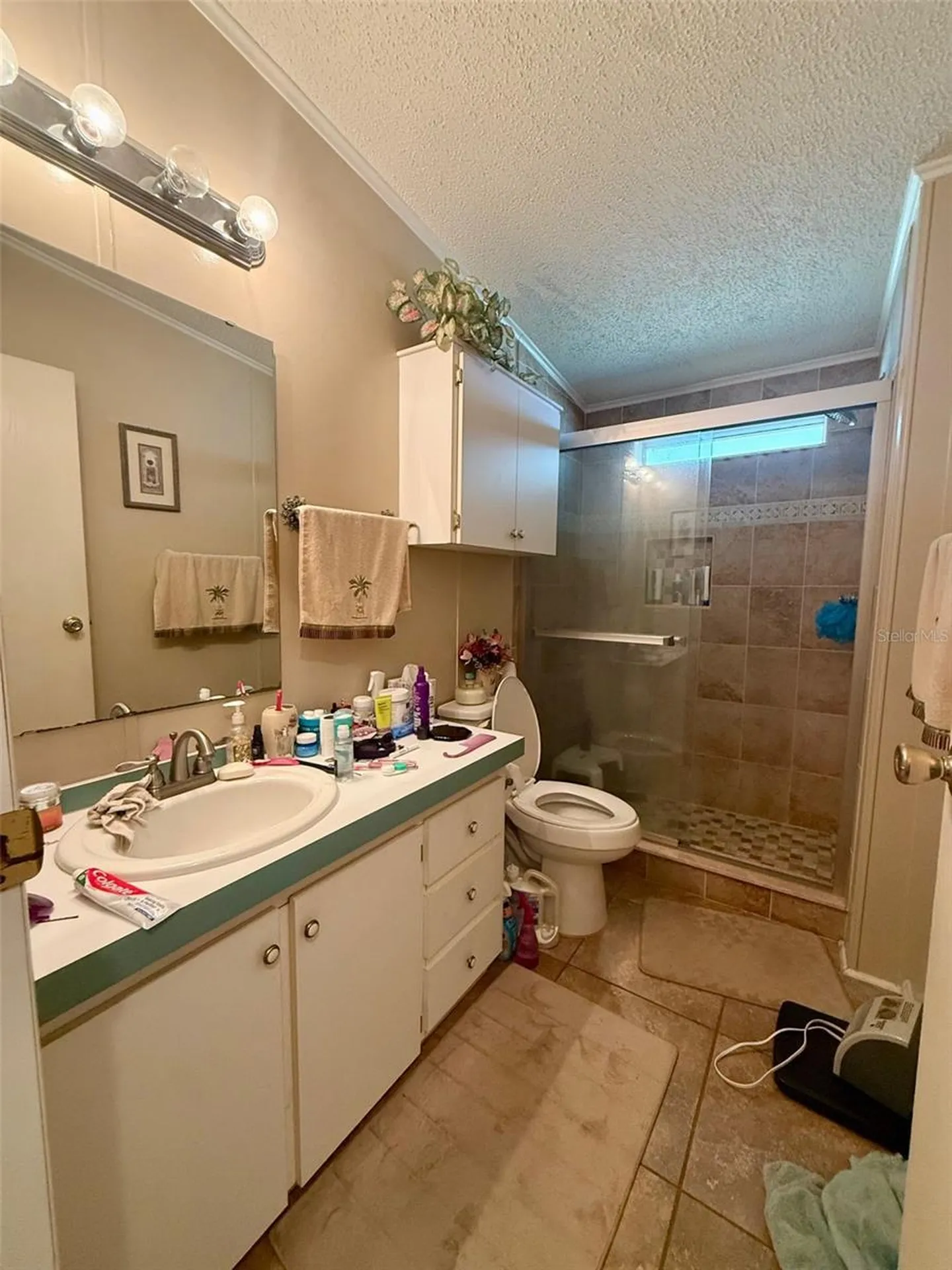 13519 Woodland Drive Astatula FL 34705