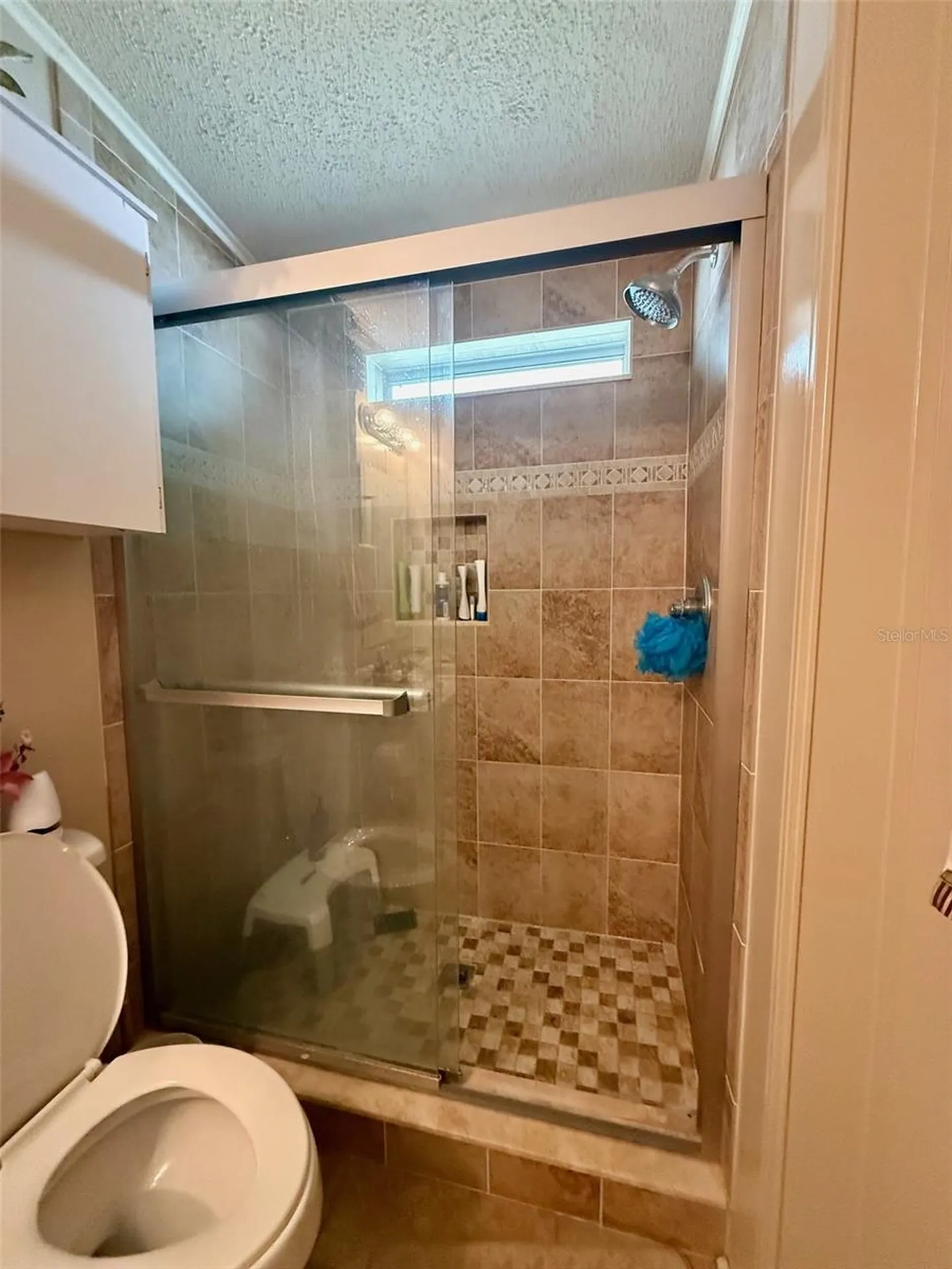 13519 Woodland Drive Astatula FL 34705