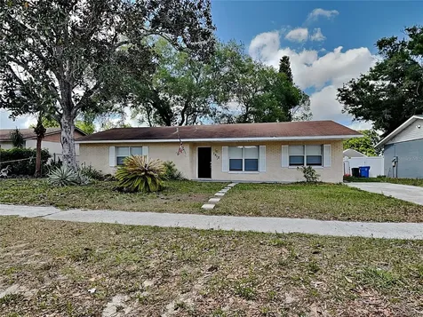 Seffner FL 33584