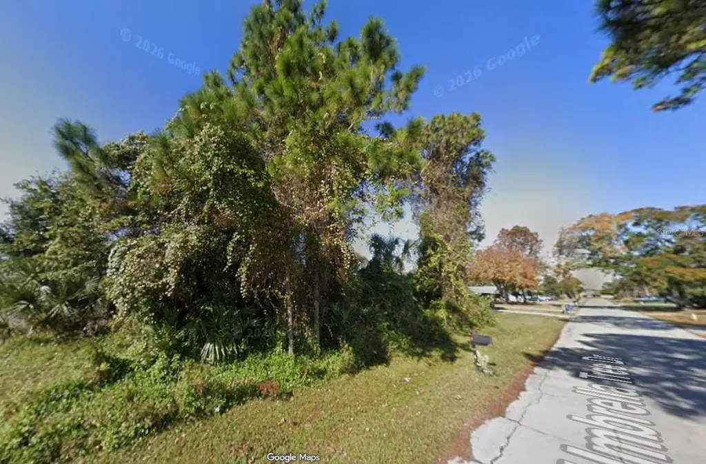 1328 Umbrella Tree Drive Edgewater FL 32132