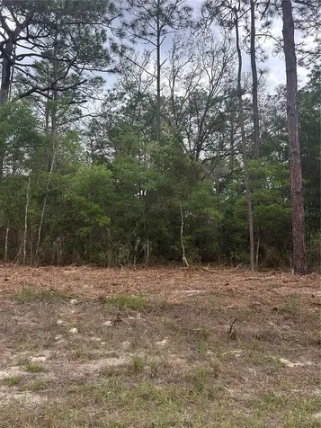 10831 N Mataro Avenue Citrus Springs FL 34434