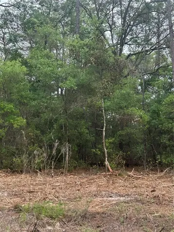 10831 N Mataro Avenue Citrus Springs FL 34434