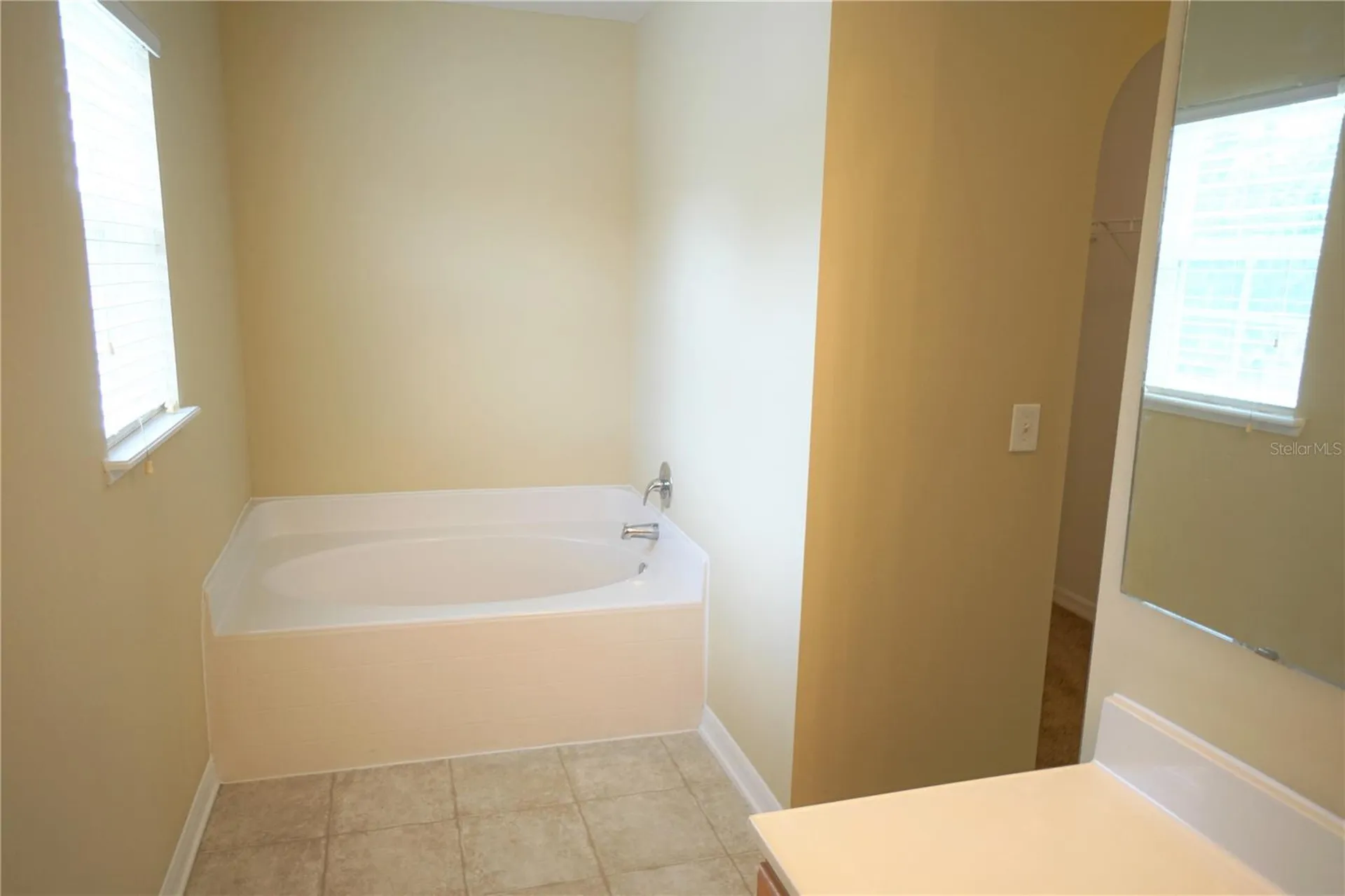 10427 River Bream Drive Riverview FL 33569