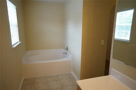 10427 River Bream Drive Riverview FL 33569