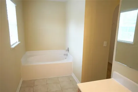 10427 River Bream Drive Riverview FL 33569