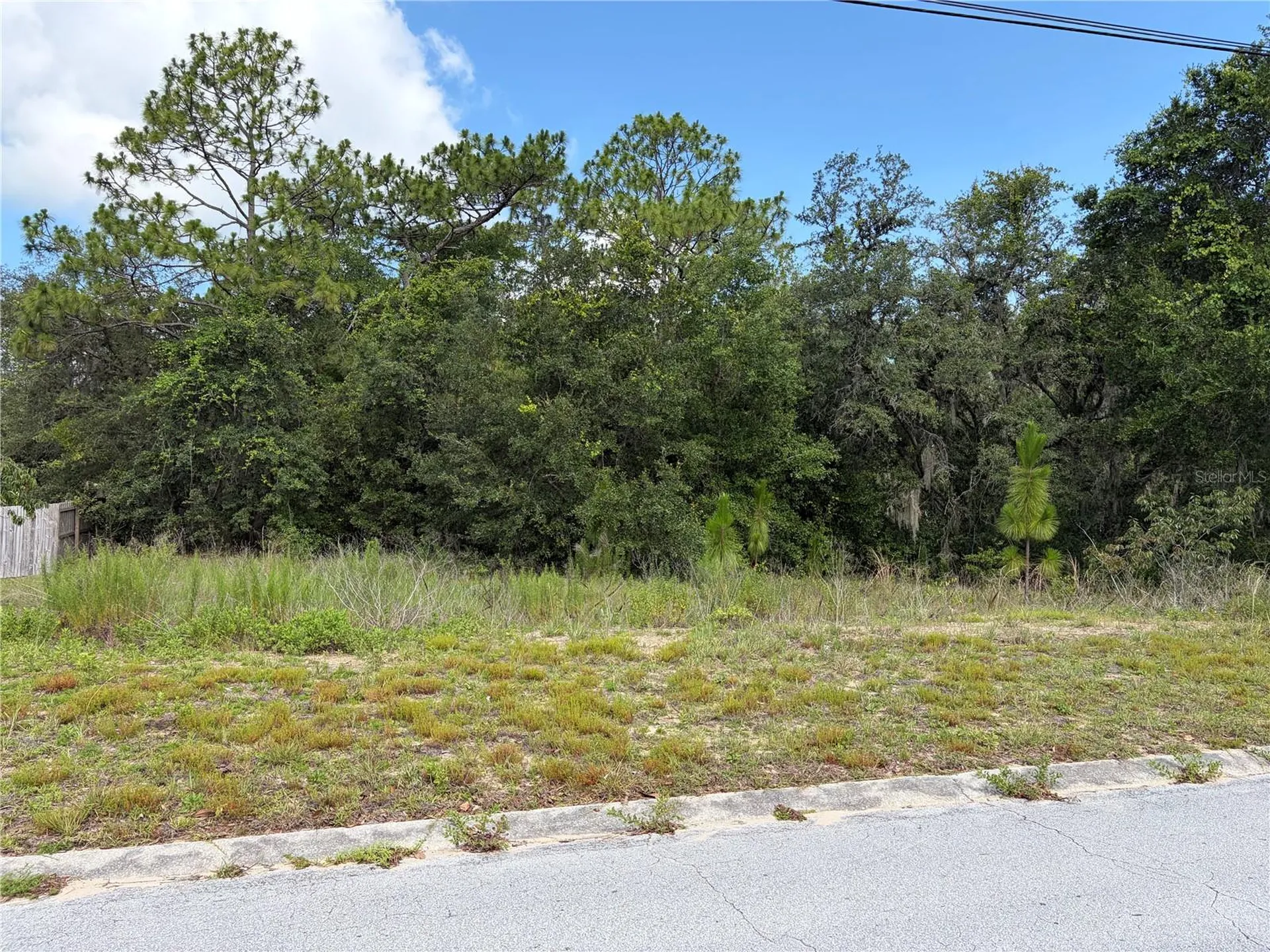 1133 Rutgers Terrace Inverness FL 34452