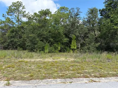 1133 Rutgers Terrace Inverness FL 34452