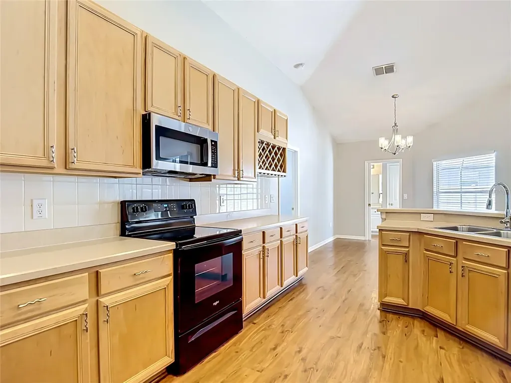 23113 Emerson Way Land O Lakes FL 34639