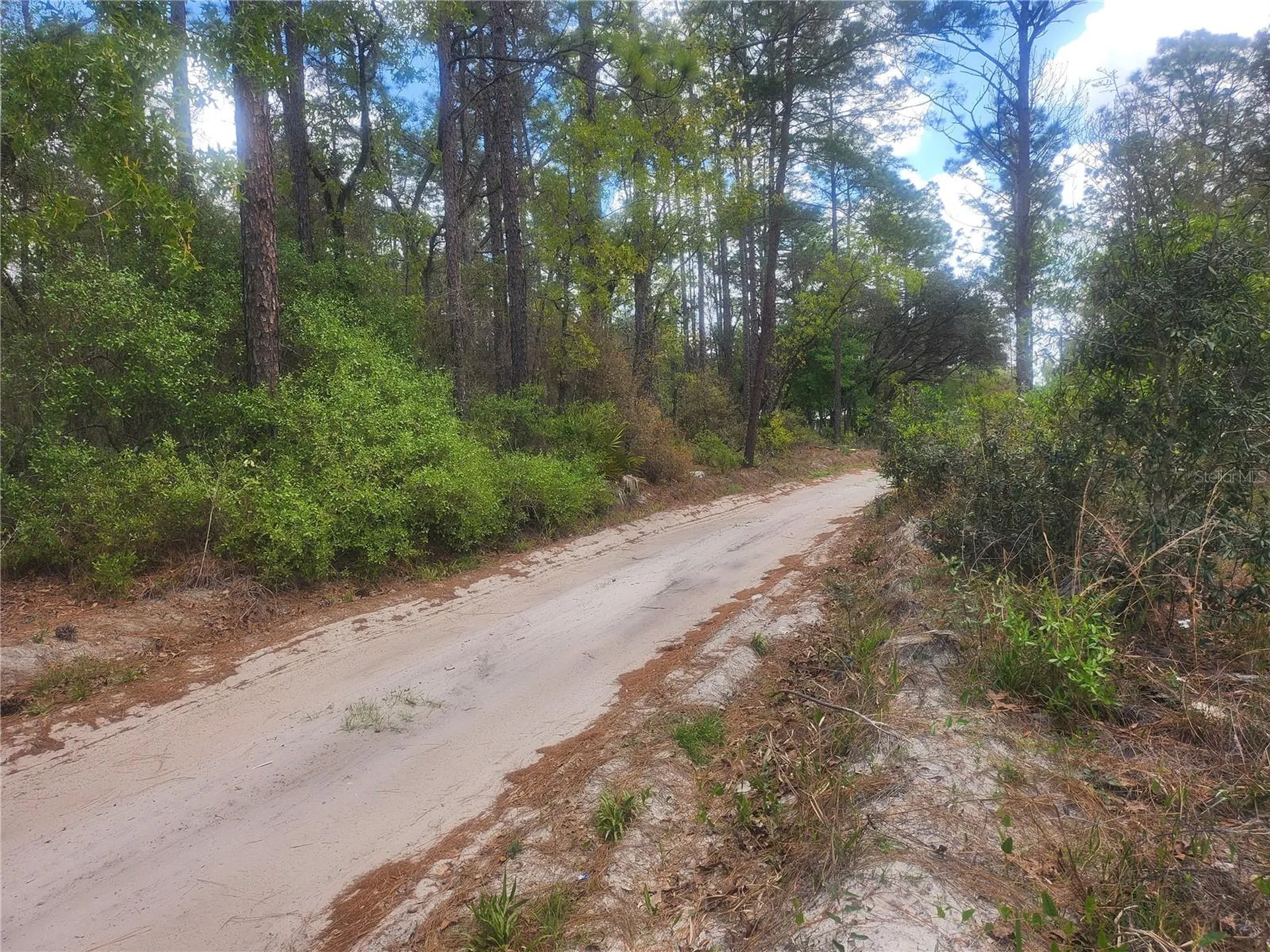 7446 SW 151st Place Dunnellon FL 34432