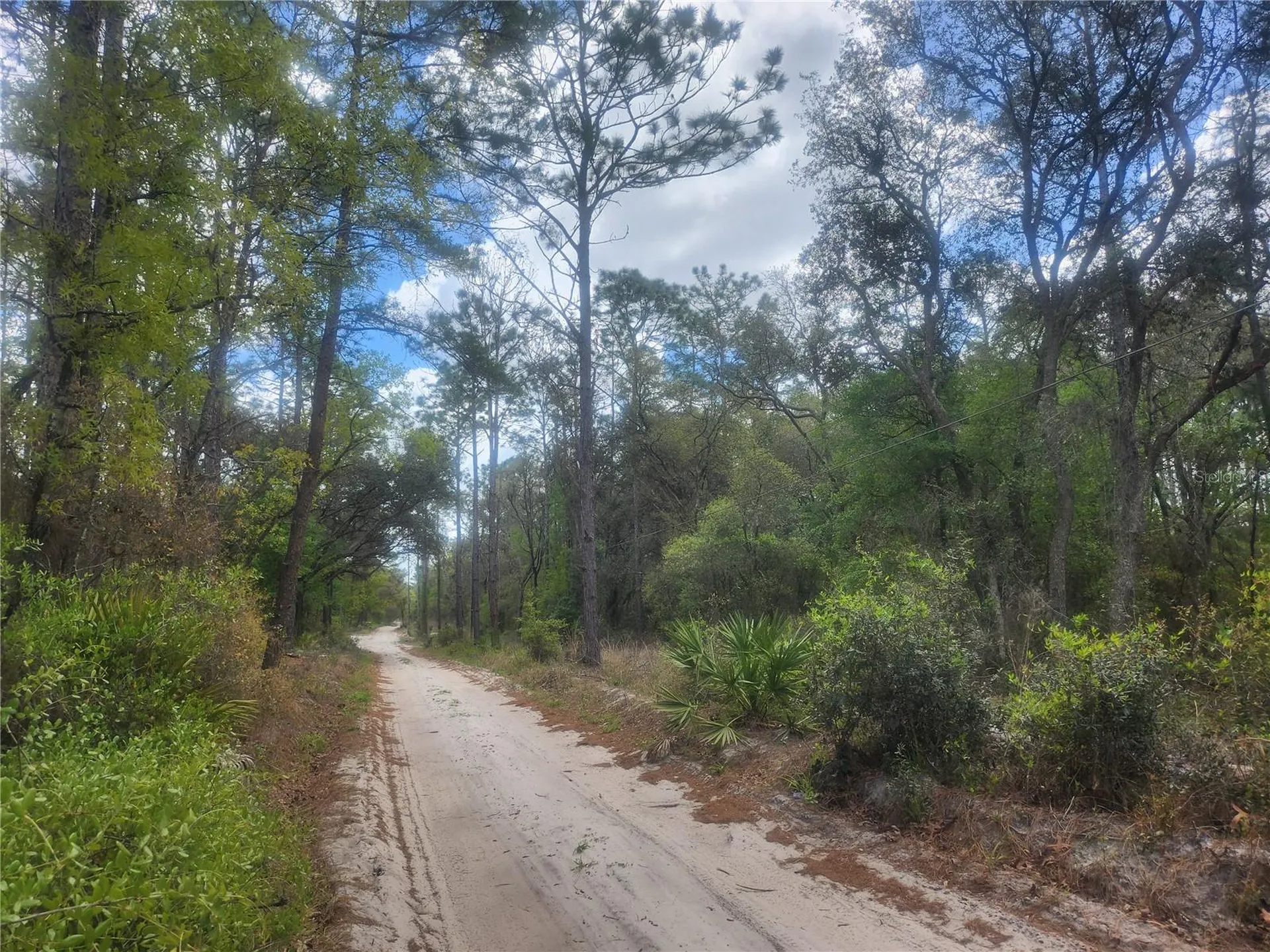 7446 SW 151st Place Dunnellon FL 34432