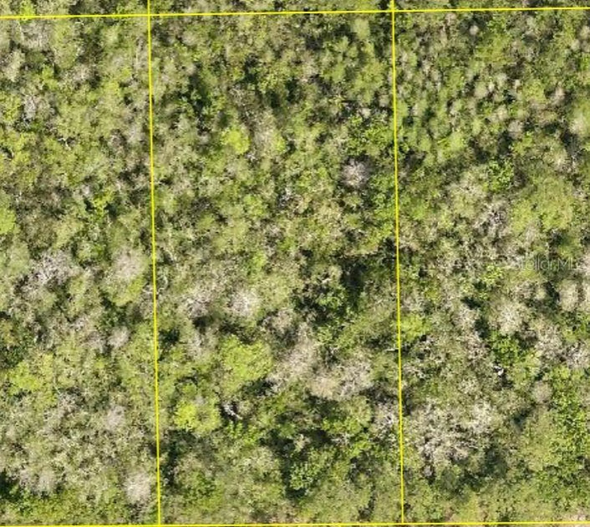 Pid 710801150220 No Street Deland FL 32724