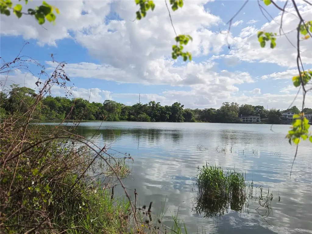 1408 Westmoreland Avenue Eustis FL 32726