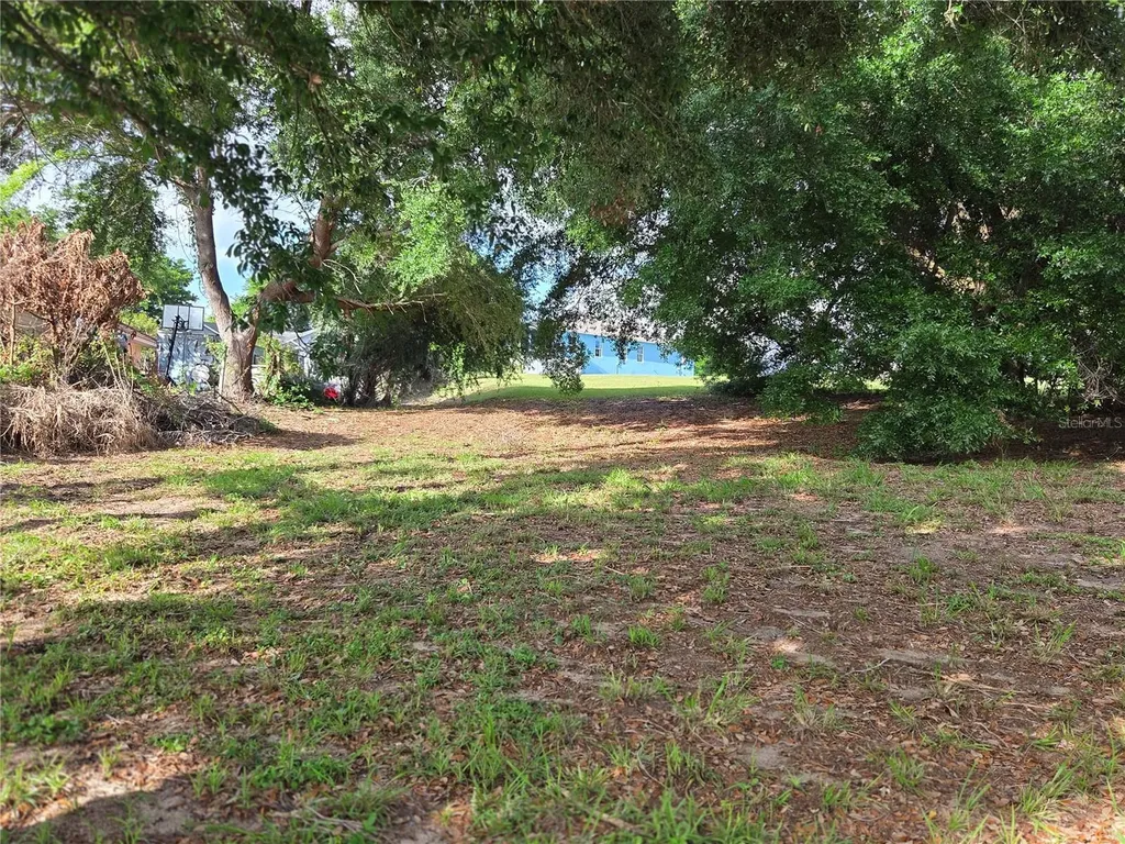 1408 Westmoreland Avenue Eustis FL 32726