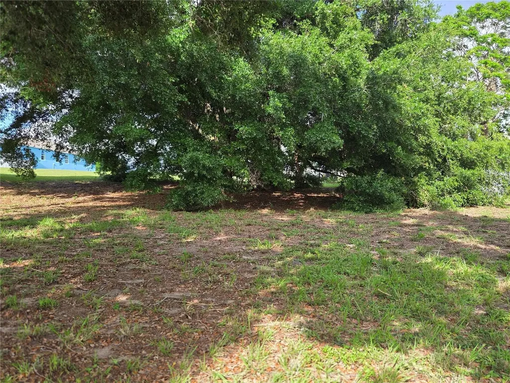 1408 Westmoreland Avenue Eustis FL 32726