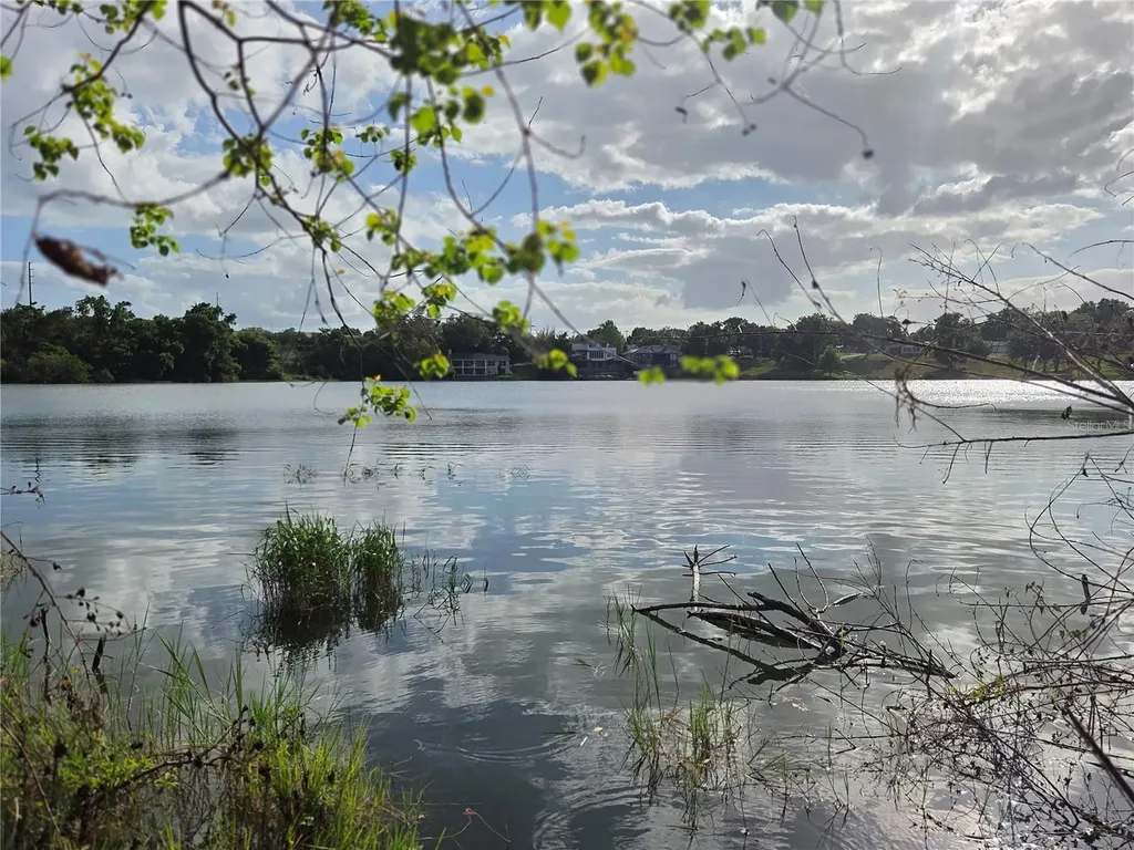 1408 Westmoreland Avenue Eustis FL 32726