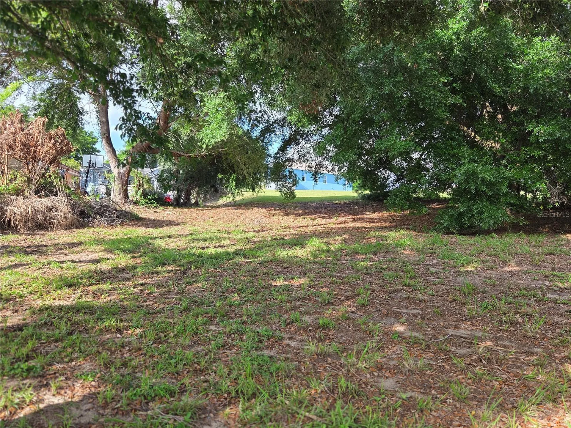 1408 Westmoreland Avenue Eustis FL 32726