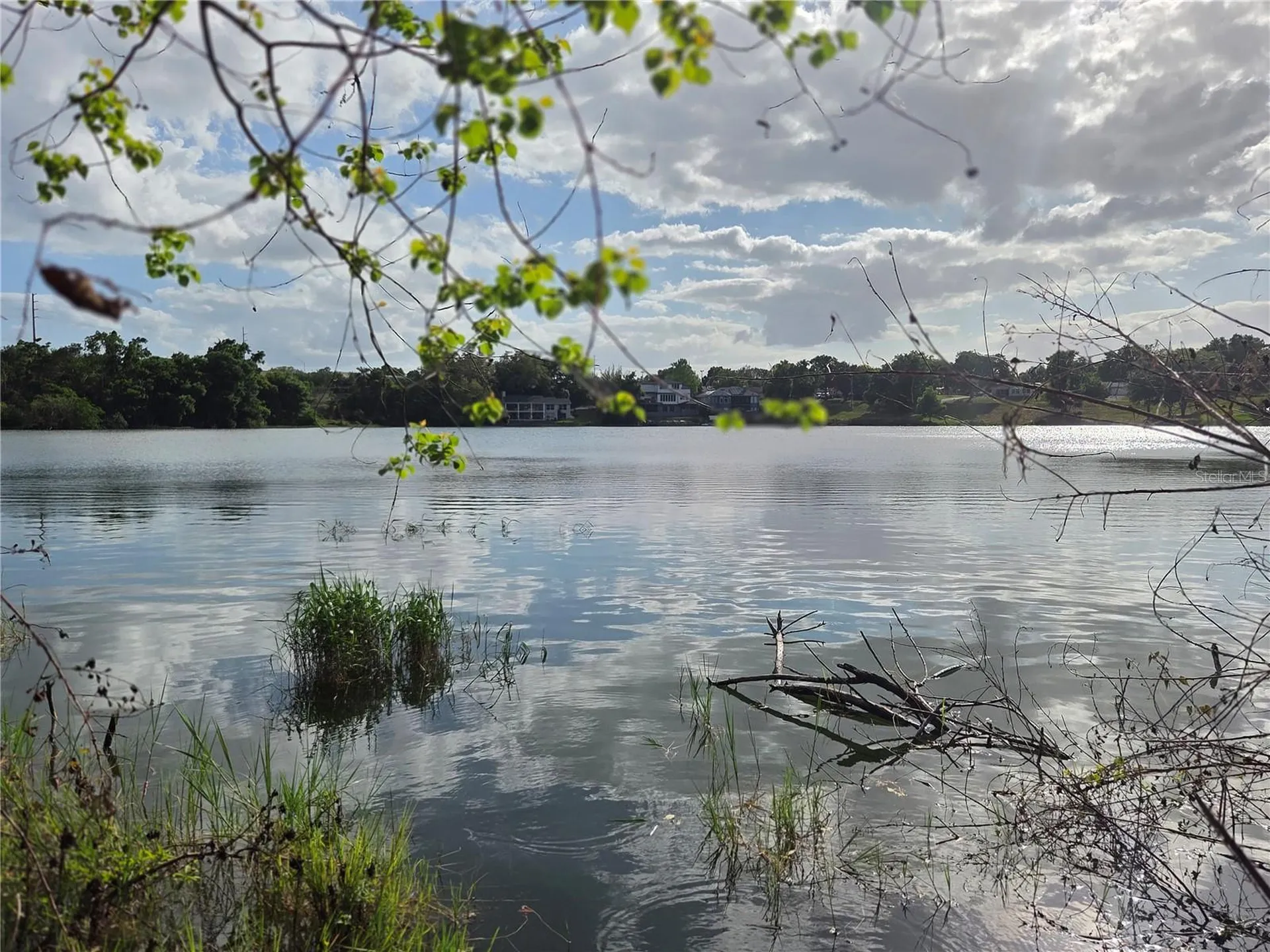 1408 Westmoreland Avenue Eustis FL 32726