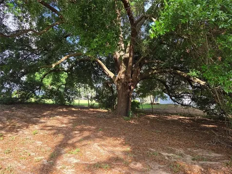 1408 Westmoreland Avenue Eustis FL 32726