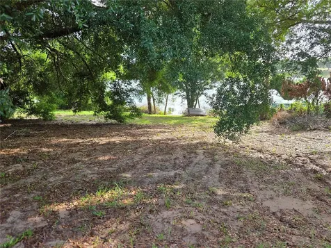 1408 Westmoreland Avenue Eustis FL 32726