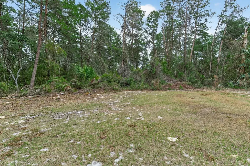 117 Stoddard Road Crescent City FL 32112