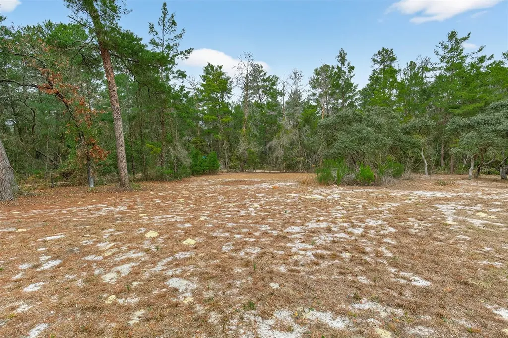 117 Stoddard Road Crescent City FL 32112