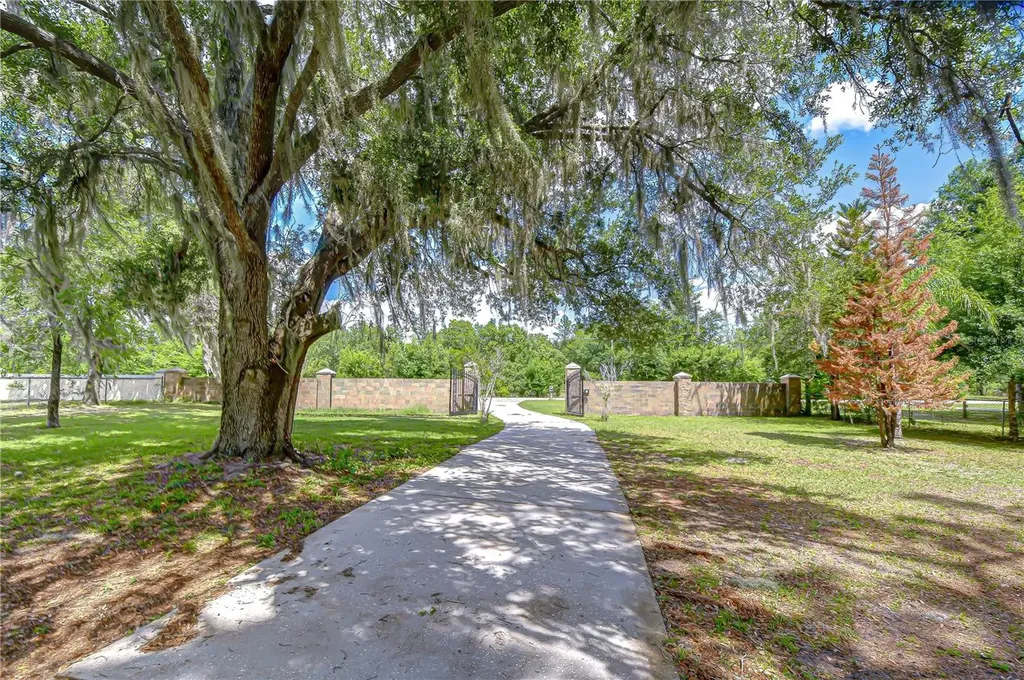 6213 Parkway Boulevard Land O Lakes FL 34639