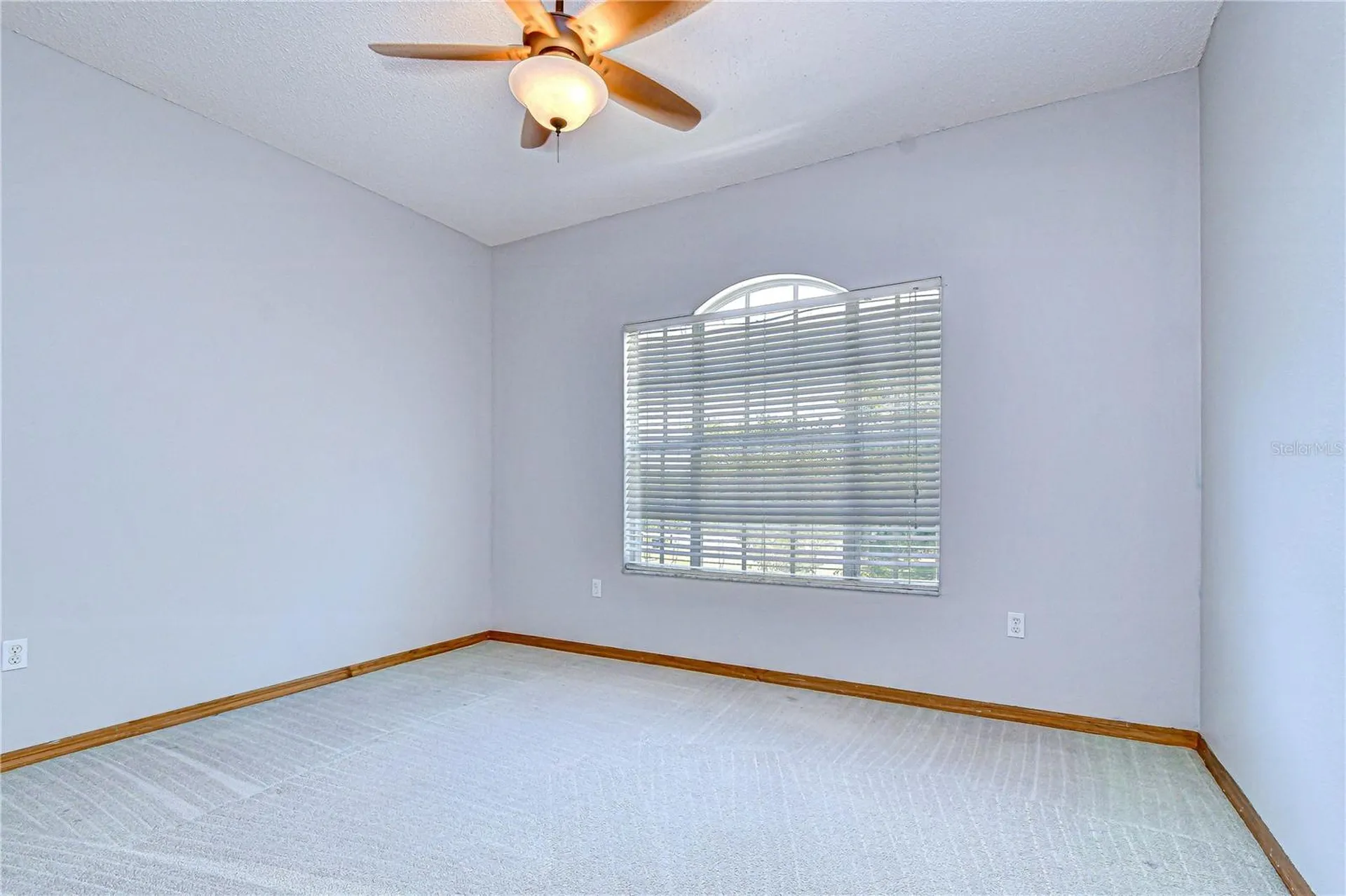 6213 Parkway Boulevard Land O Lakes FL 34639