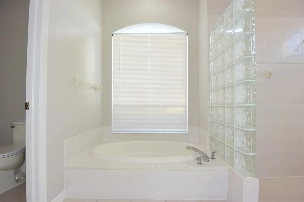 1632 Bayfield Court Trinity FL 34655