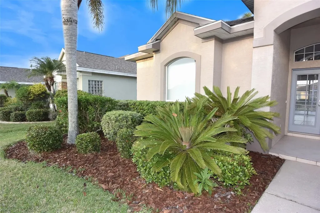1632 Bayfield Court Trinity FL 34655