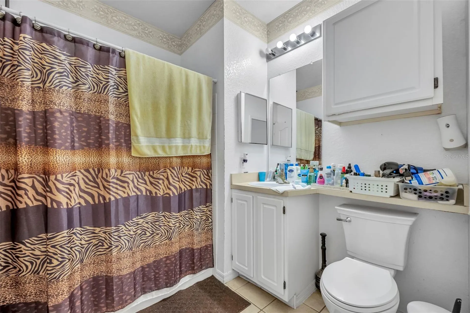 2513 Maitland Crossing Way Orlando FL 32810