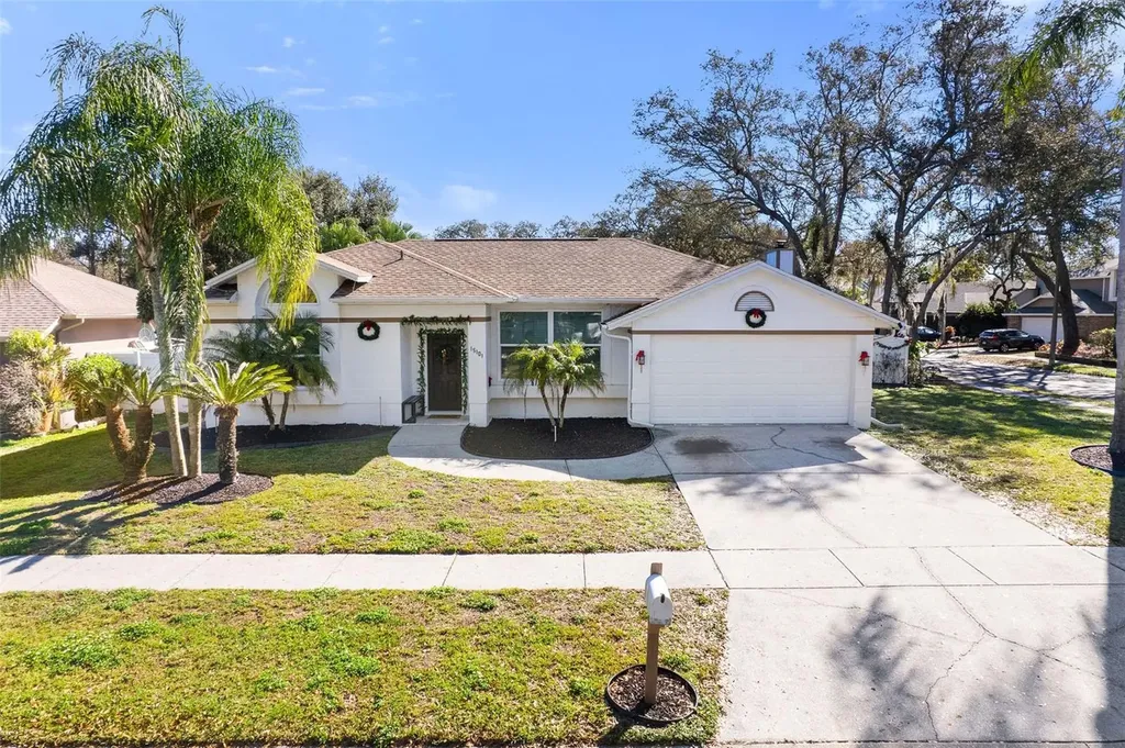 15101 Redvale Drive Tampa FL 33625
