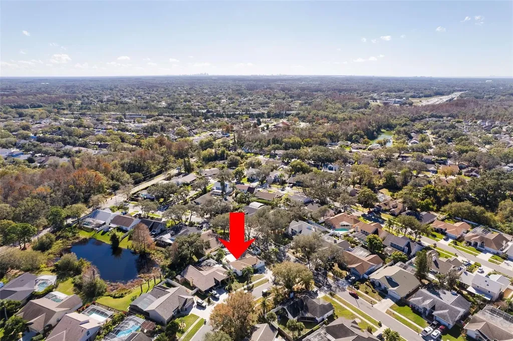 15101 Redvale Drive Tampa FL 33625