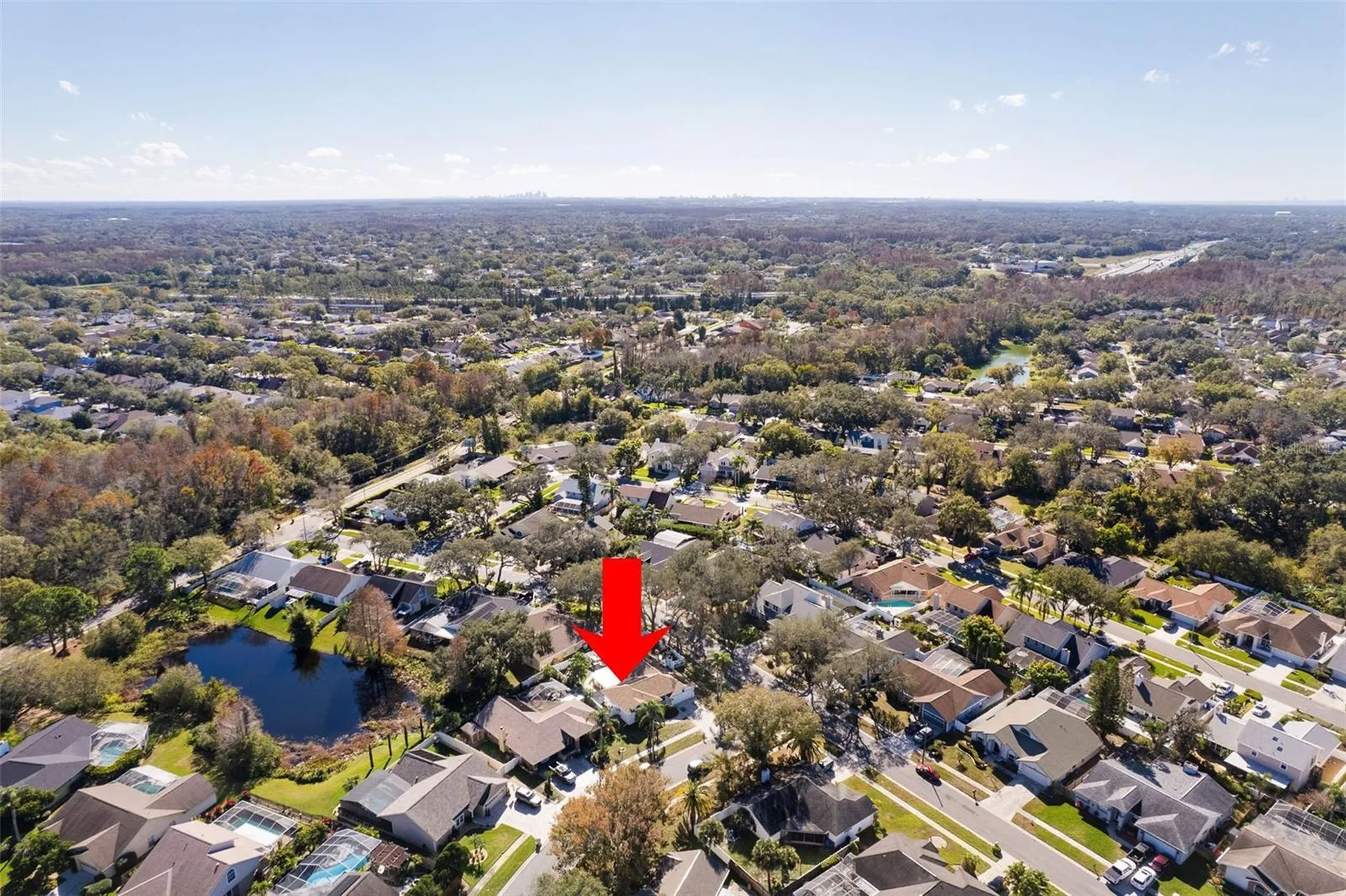 15101 Redvale Drive Tampa FL 33625