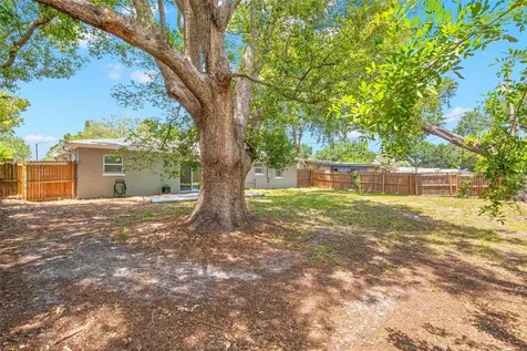 611 Pinewood Drive Dunedin FL 34698