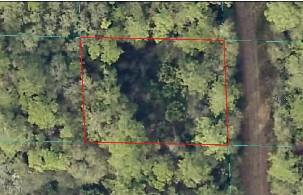 00 NE 66th Court Citra FL 32113
