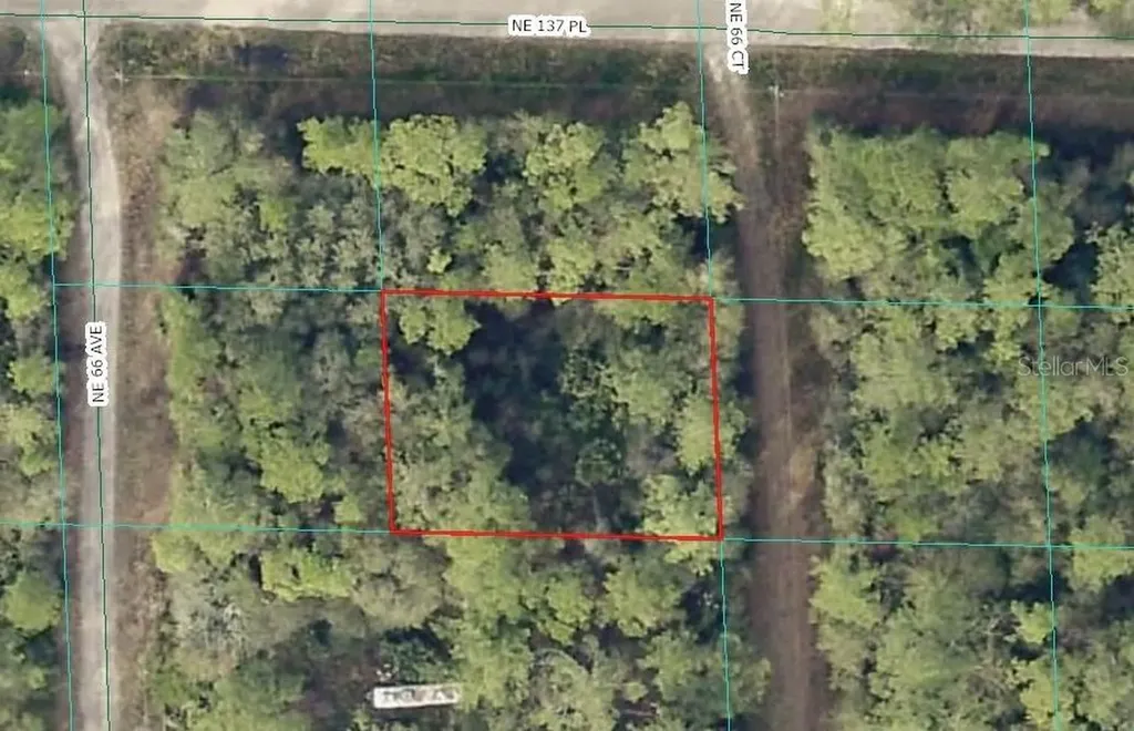 00 NE 66th Court Citra FL 32113