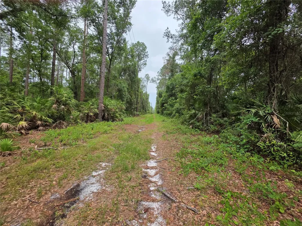 00 NE 66th Court Citra FL 32113