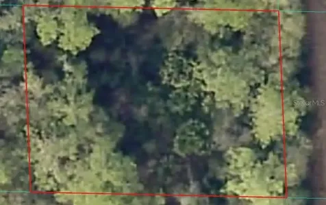 00 NE 66th Court Citra FL 32113