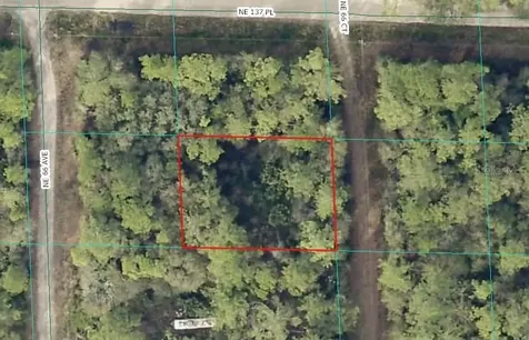 00 NE 66th Court Citra FL 32113