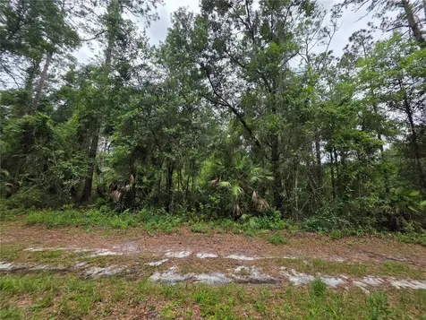 00 NE 66th Court Citra FL 32113