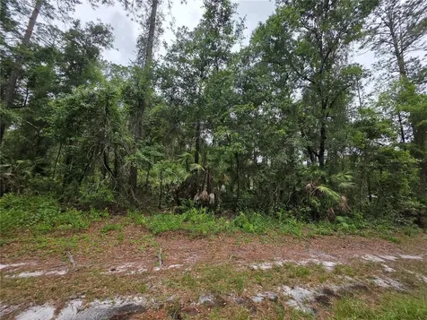 00 NE 66th Court Citra FL 32113