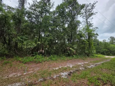 00 NE 66th Court Citra FL 32113