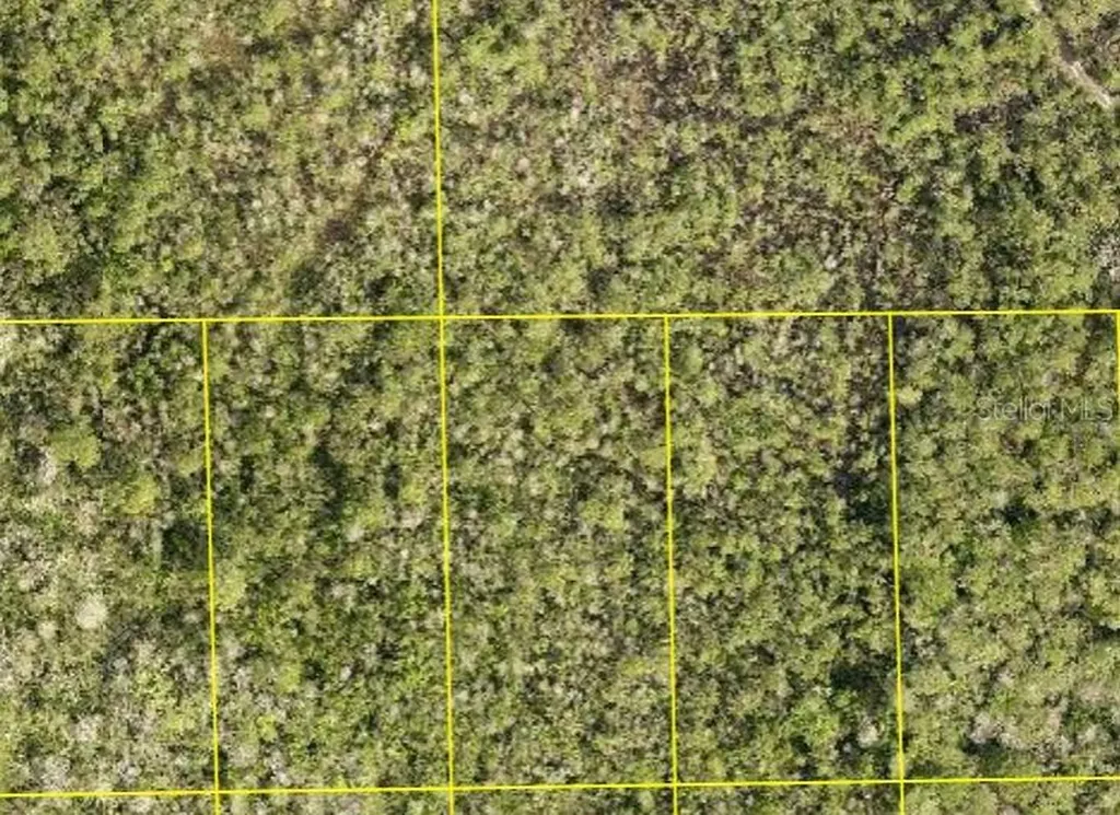 Pid 710801150090 No Street Deland FL 32724