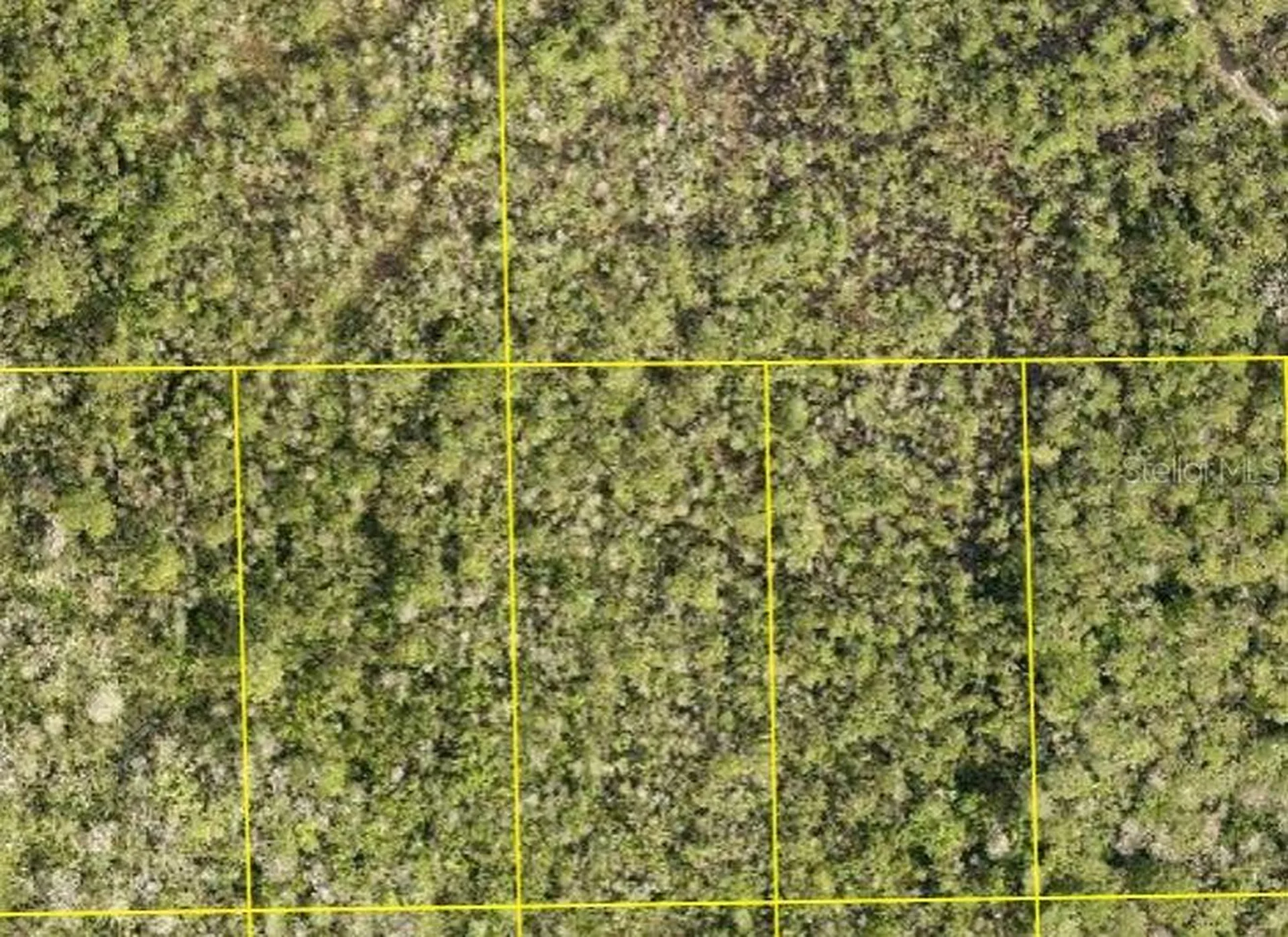 Pid 710801150090 No Street Deland FL 32724