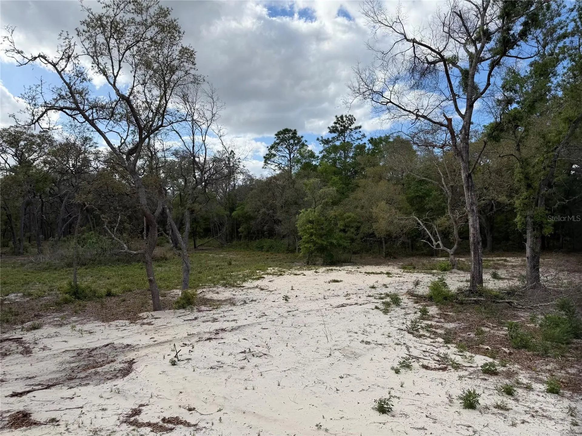 10671 NE 75th Street Bronson FL 32621