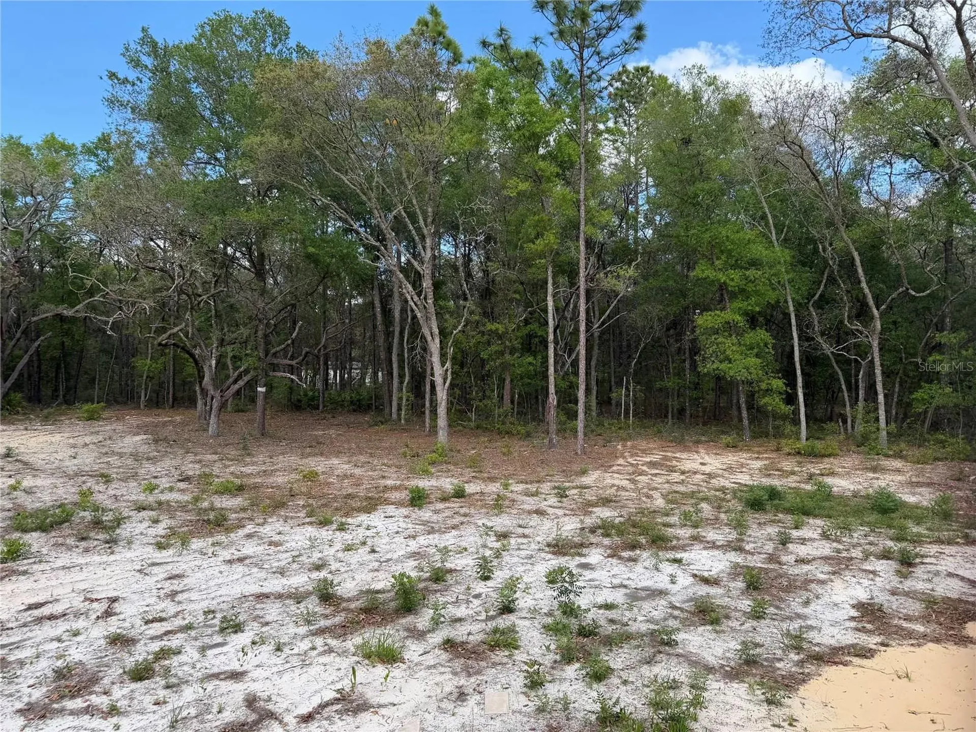 10671 NE 75th Street Bronson FL 32621