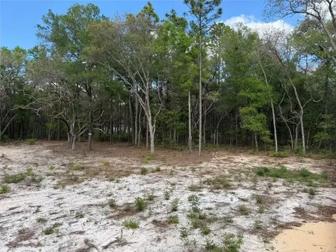 10671 NE 75th Street Bronson FL 32621