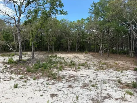 10671 NE 75th Street Bronson FL 32621