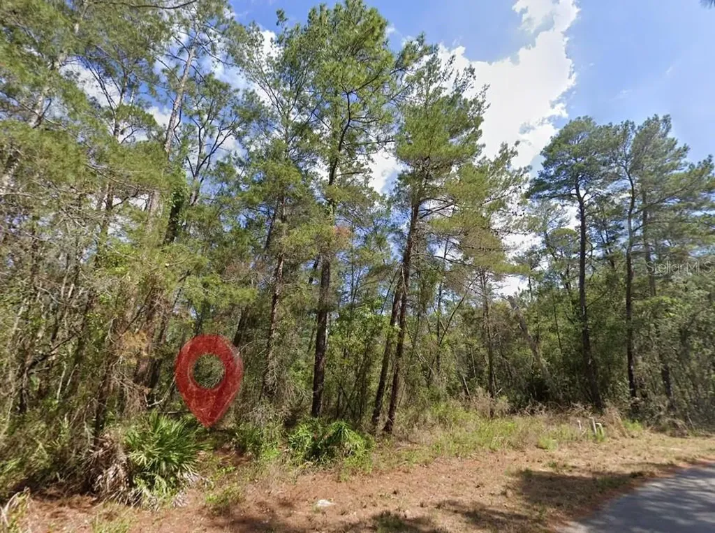 15 Petunias Court Homosassa FL 34446
